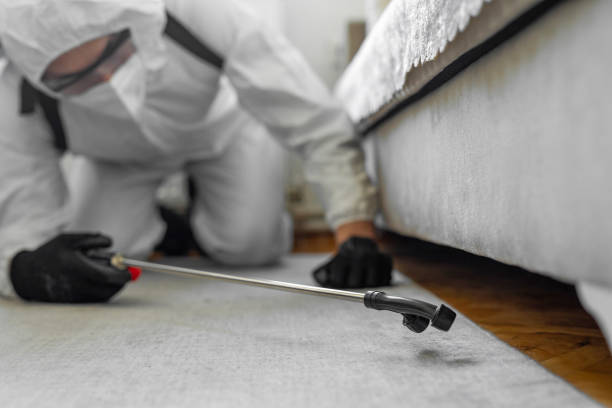 Professional Bed Bug Control technician working in Stone Mountain, GA