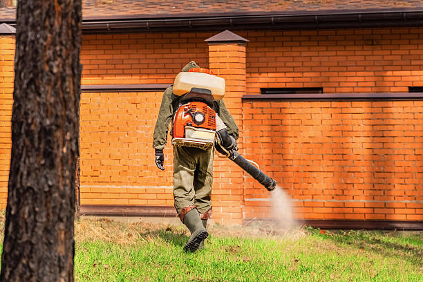 Trusted Rodent Control service in Stone Mountain, GA - Nex Pest Control